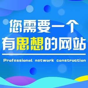 网络公司-做网站建设,小程序开发,微信公众号活动,SEO推广等服务